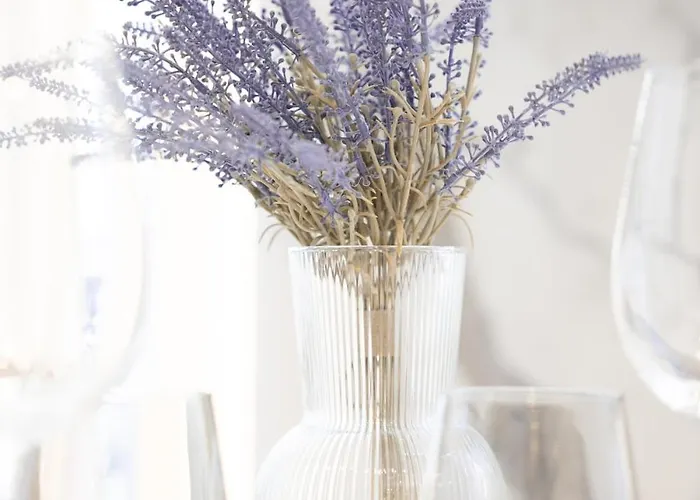 Duplex Moderne Climatise Carre D'or Daire Nice