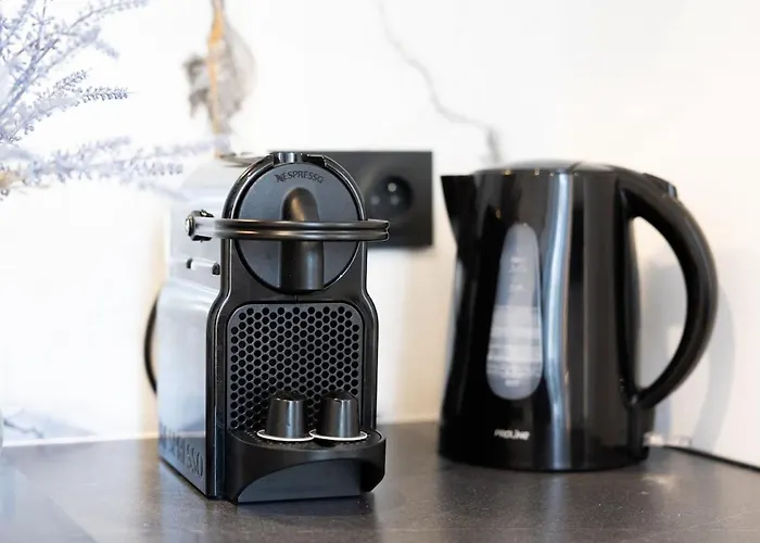 Duplex Moderne Climatise Carre D'or Apartman