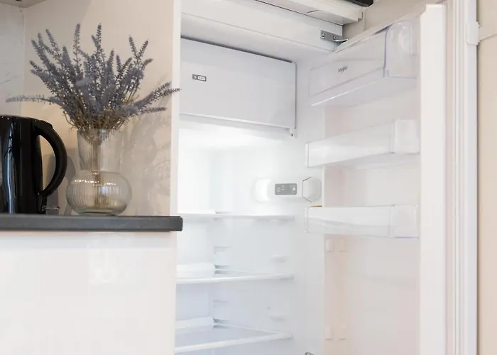 Duplex Moderne Climatise Carre D'or Nizza